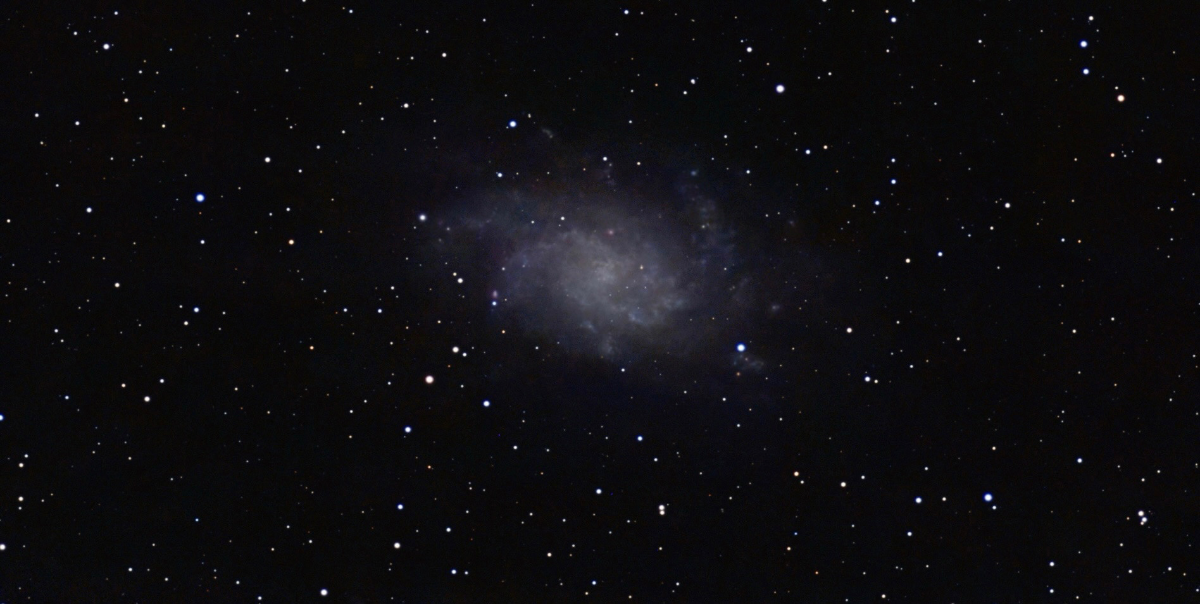 M33