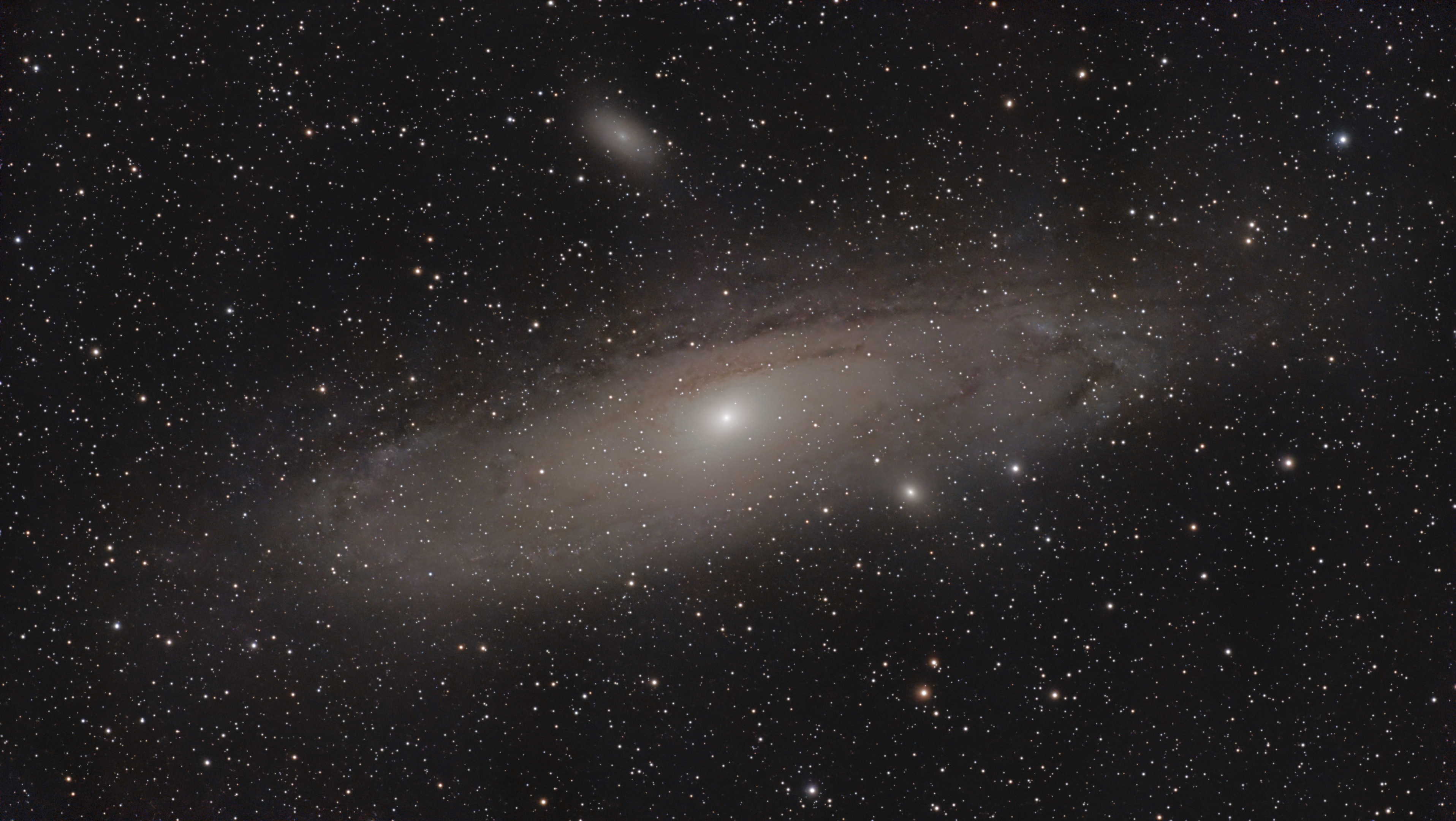 M31