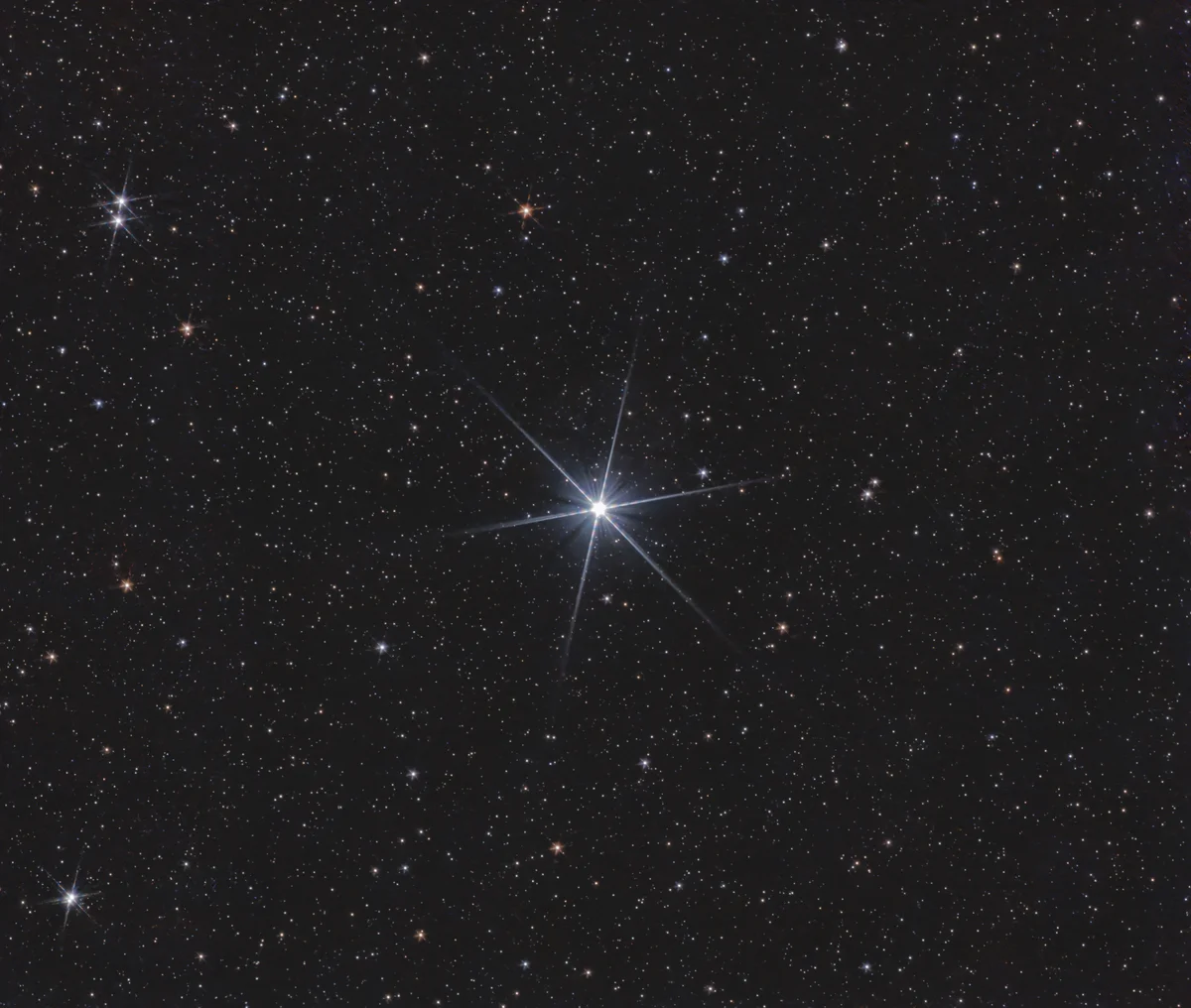 Vega