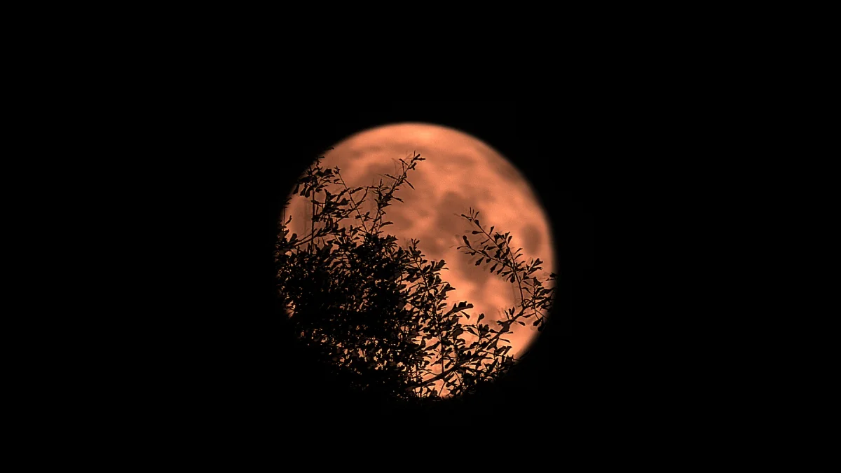 Full moon