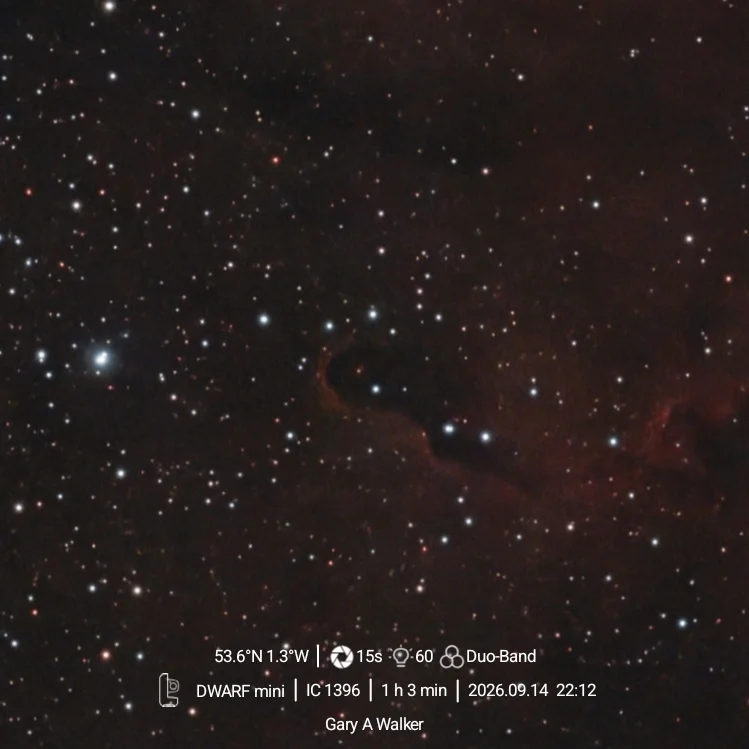 Elephant Trunks Nebula