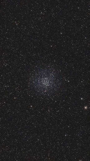 M11