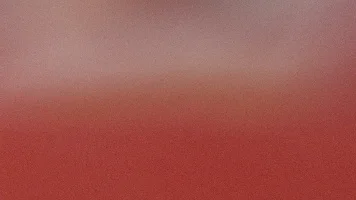 测试