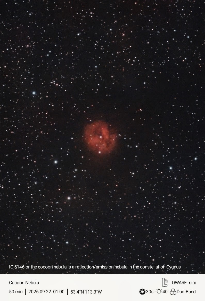 Cocoon nebula in duoband
