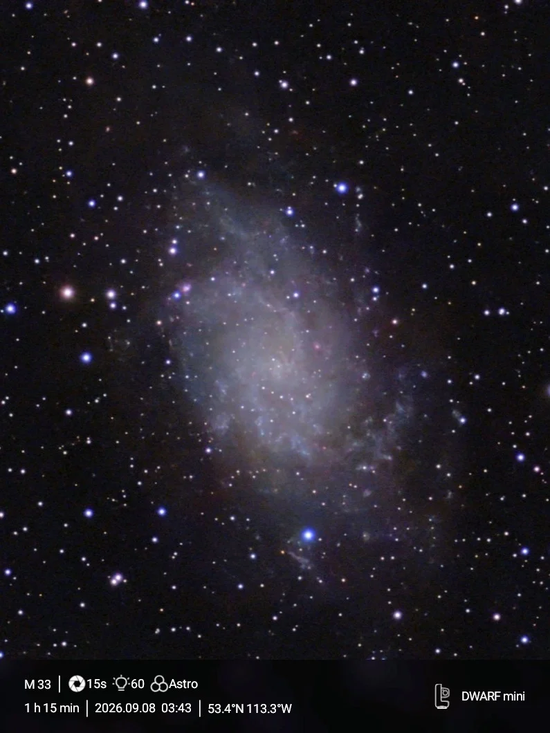 M33