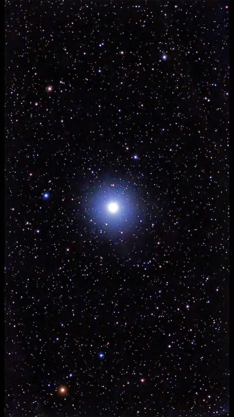 Vega