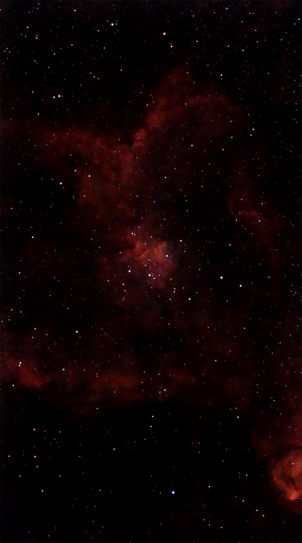 The Heart Nebula