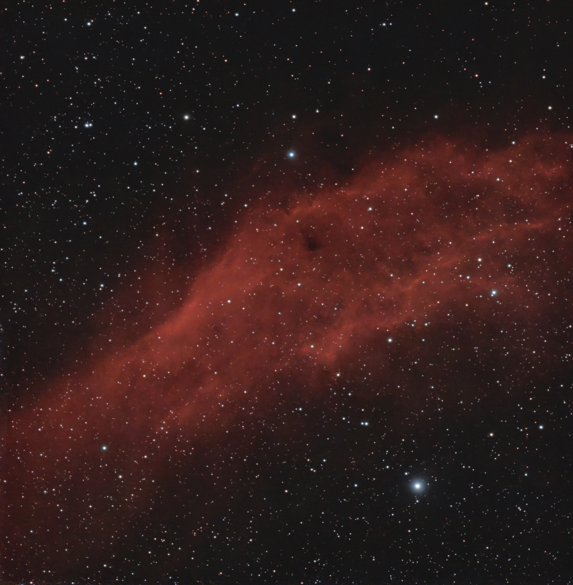 California Nebula