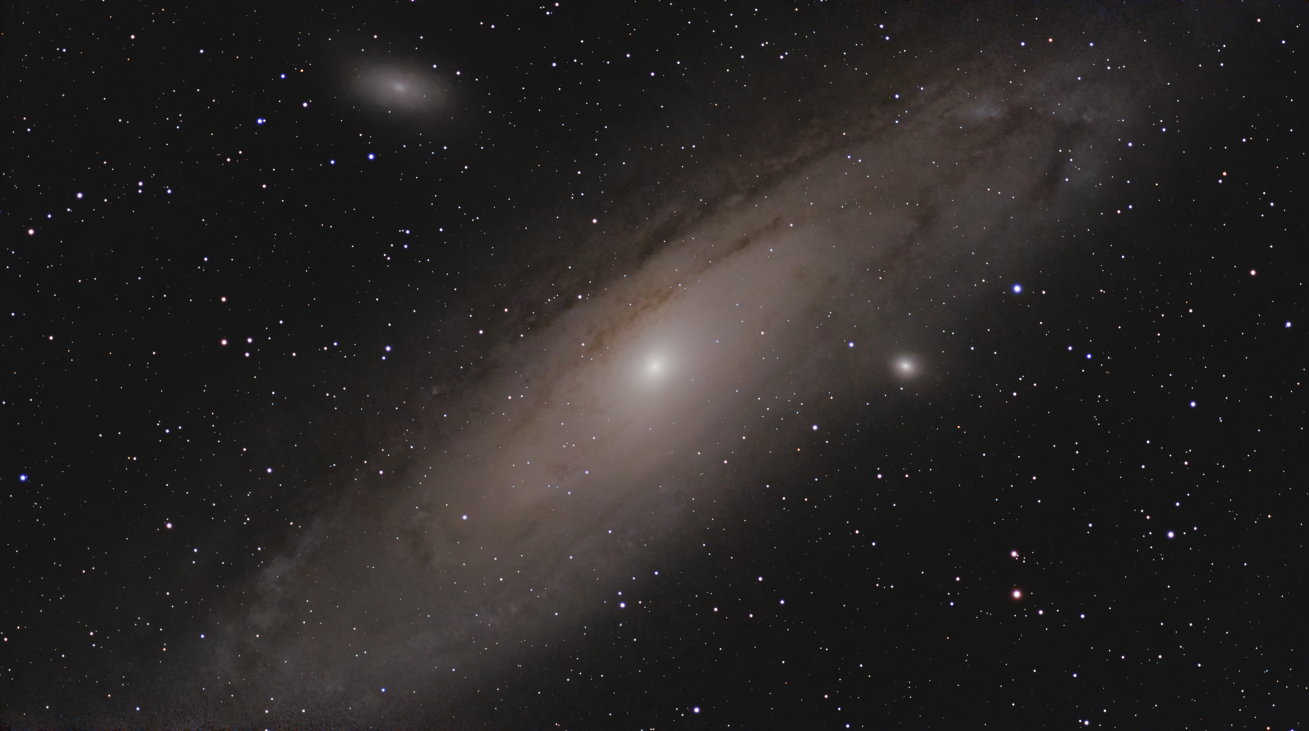 M31