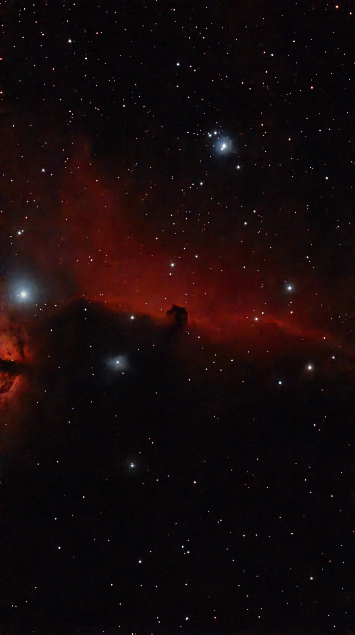Barnard33 (Horsehead)