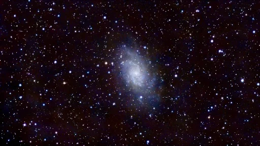 M33. C63. C20