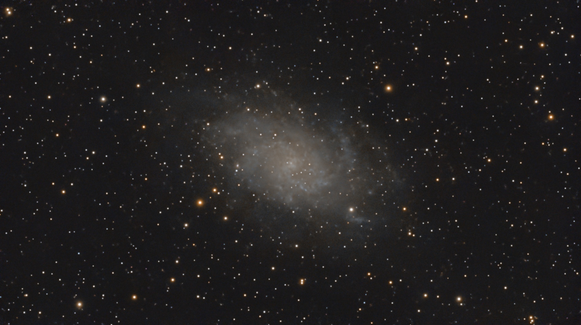 M33