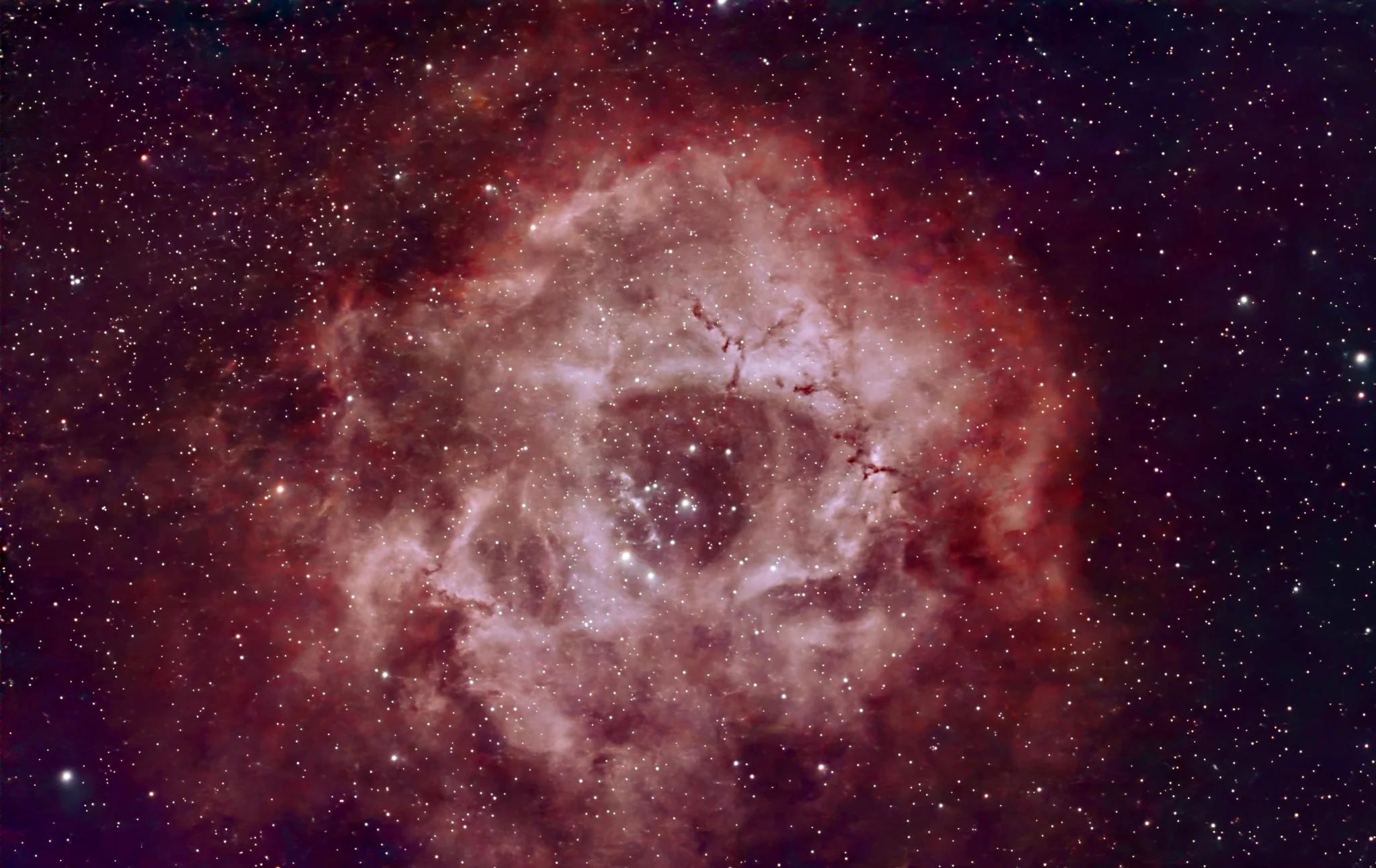 Rosette Nebula
