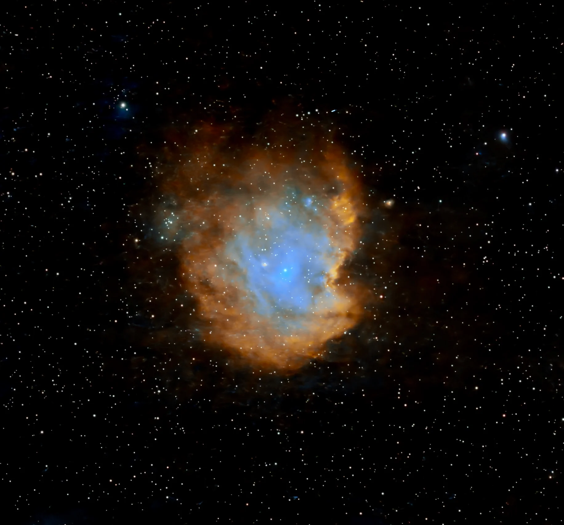 Monkey head nebula