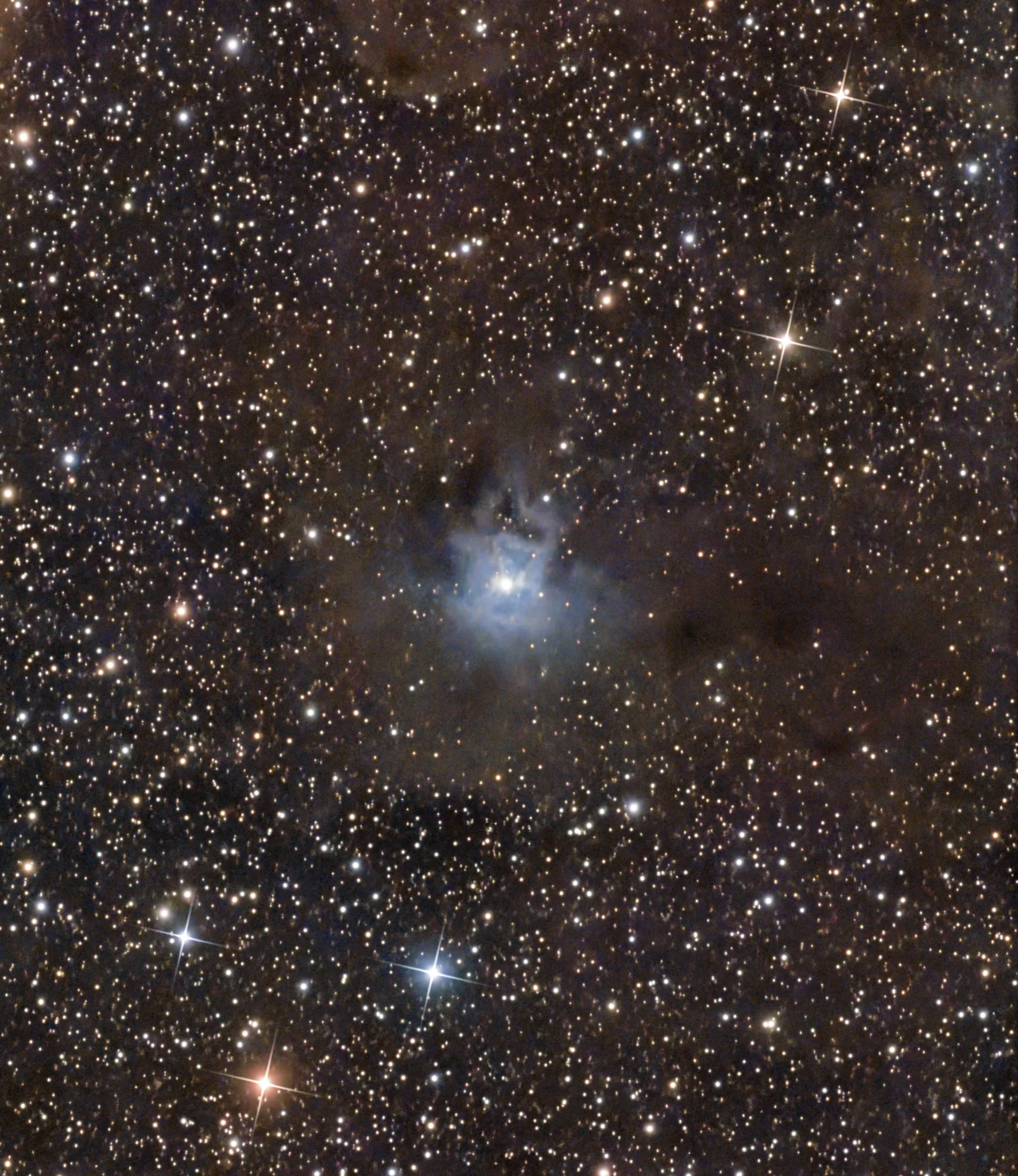 Iris Nebula