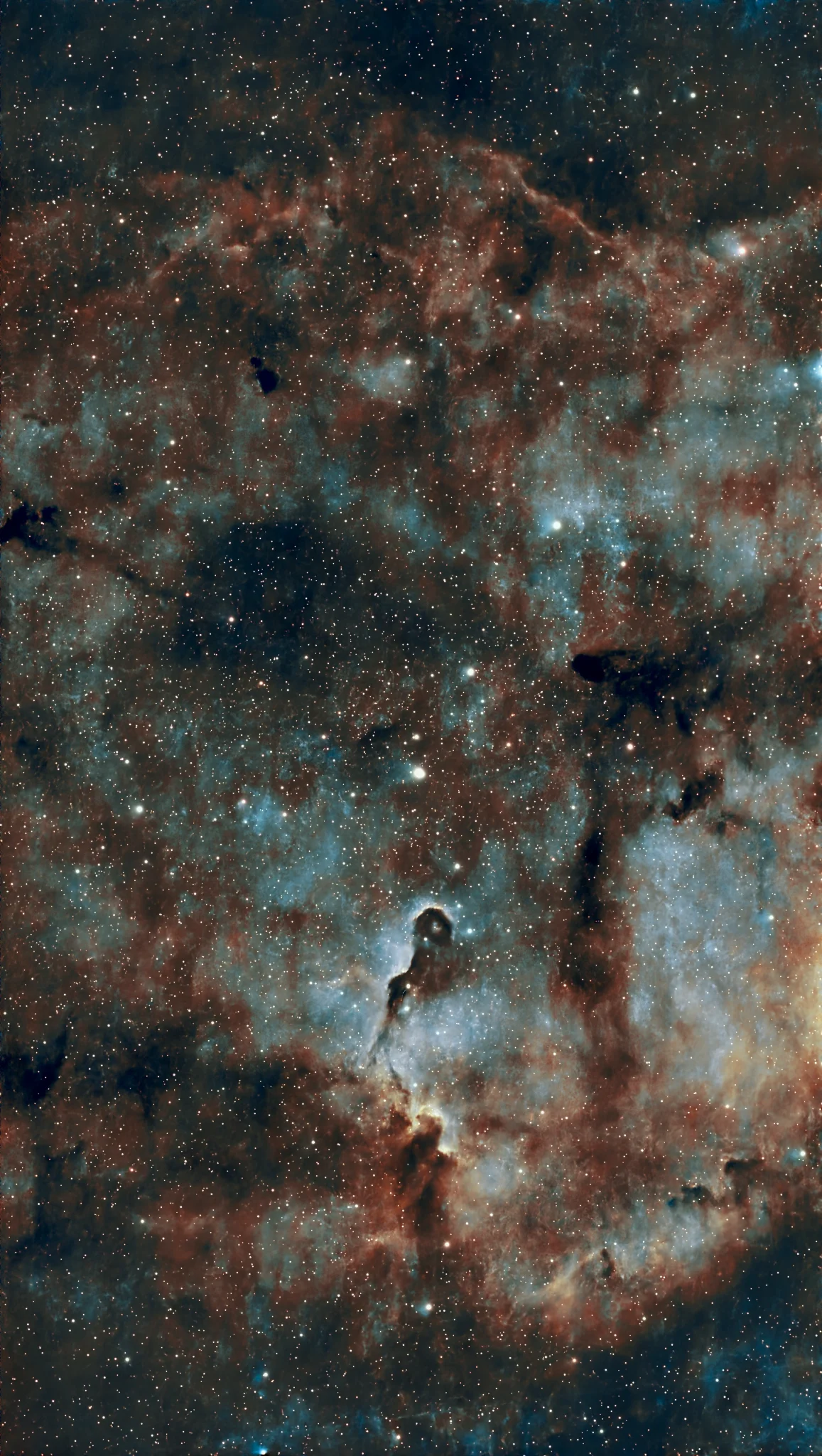 IC 1396 - Elephant’s trunk nebula
