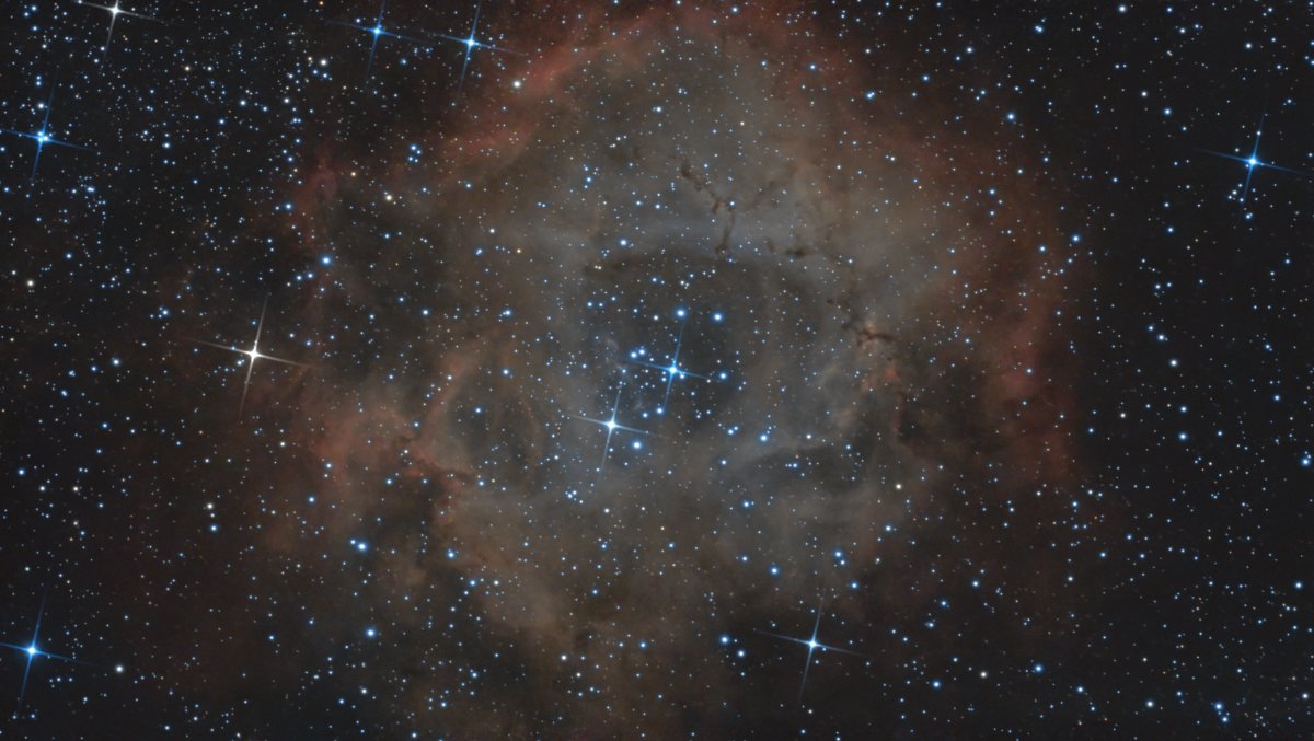 C50 Rosette nebula