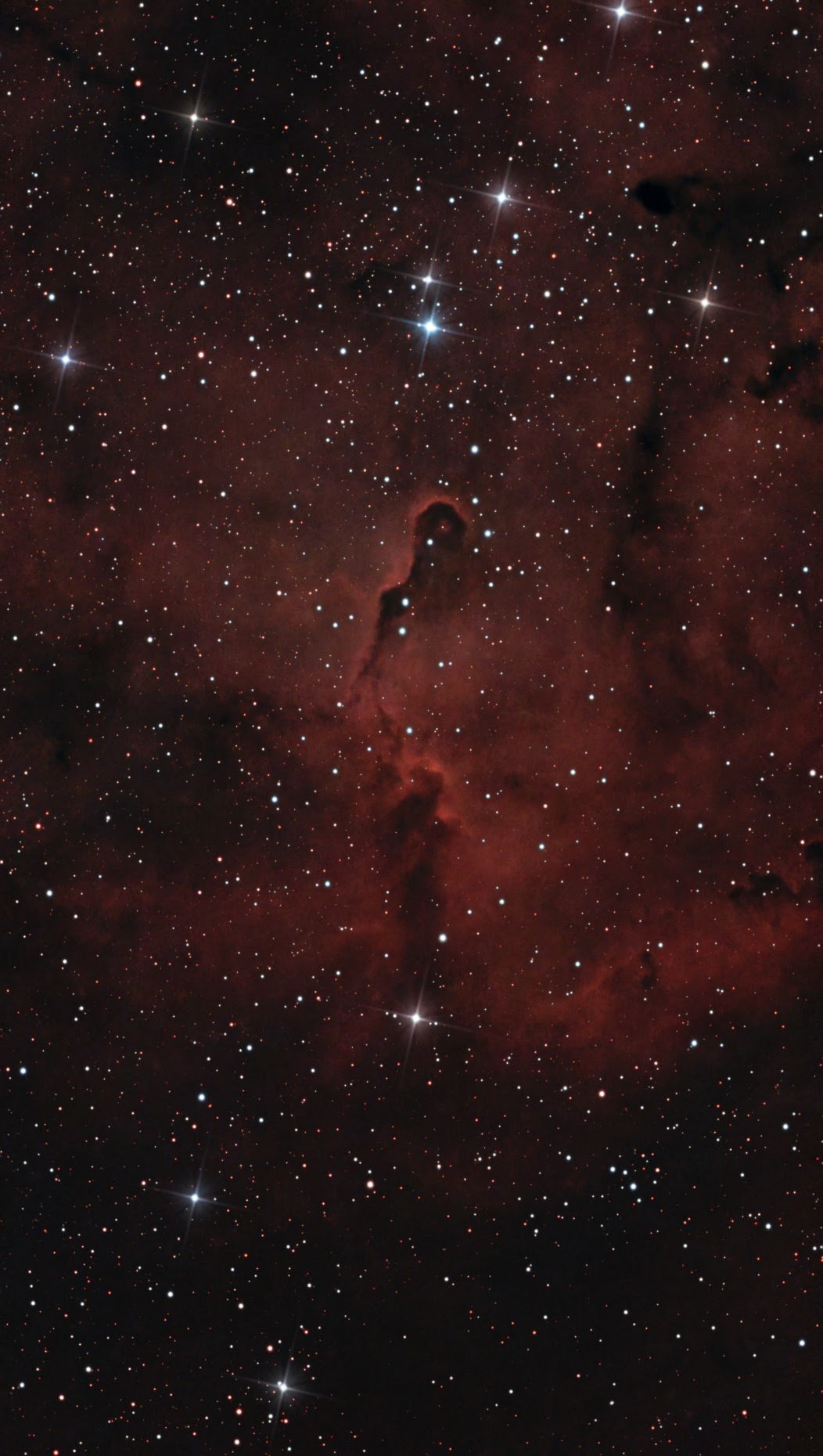 Elephant trunk nebula
