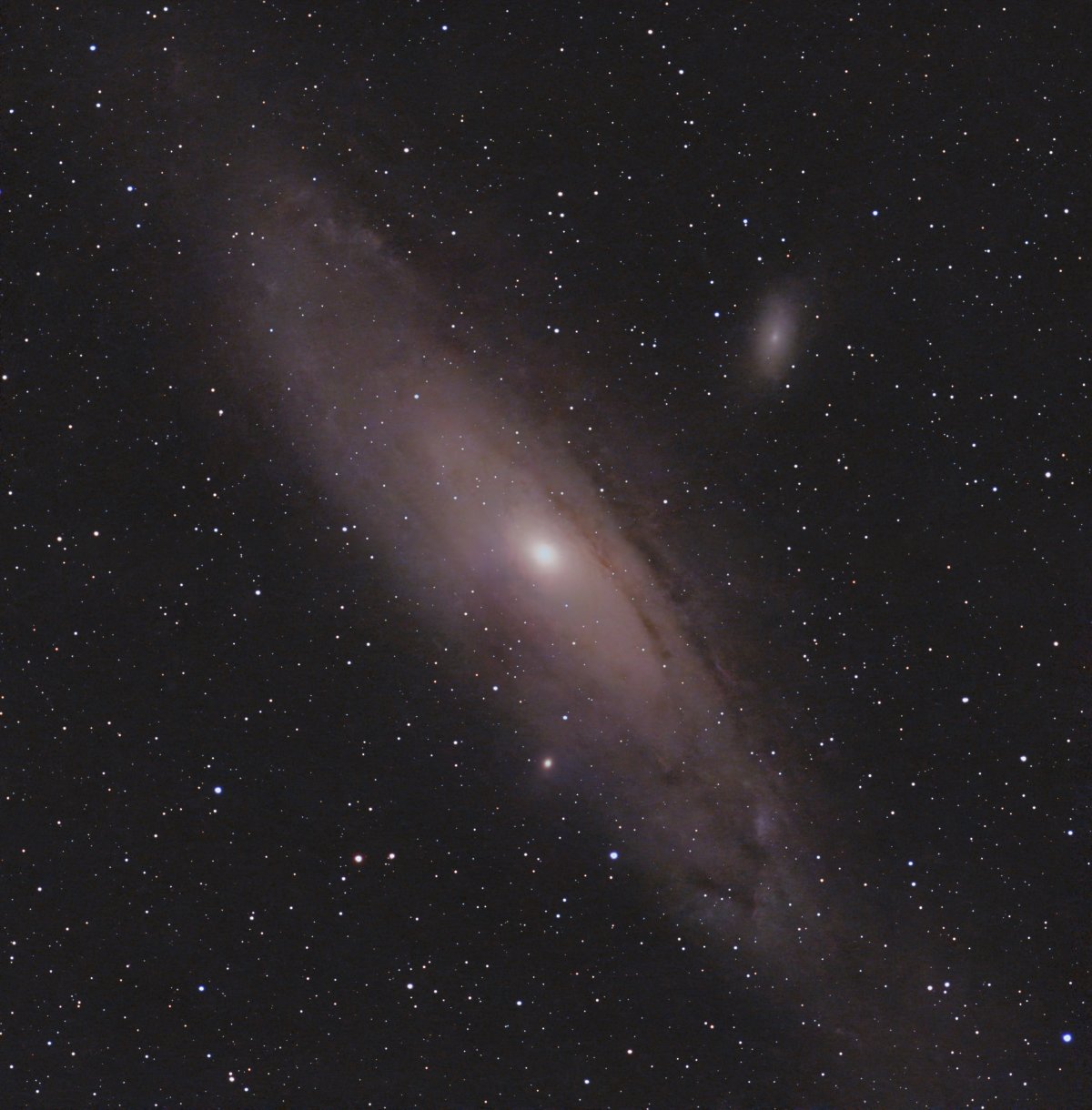 Andromeda