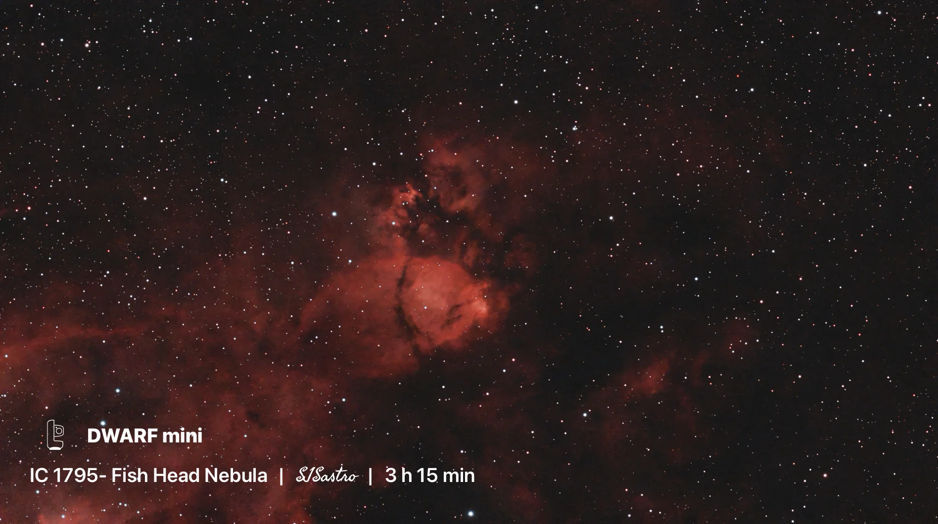 Fish Head Nebula