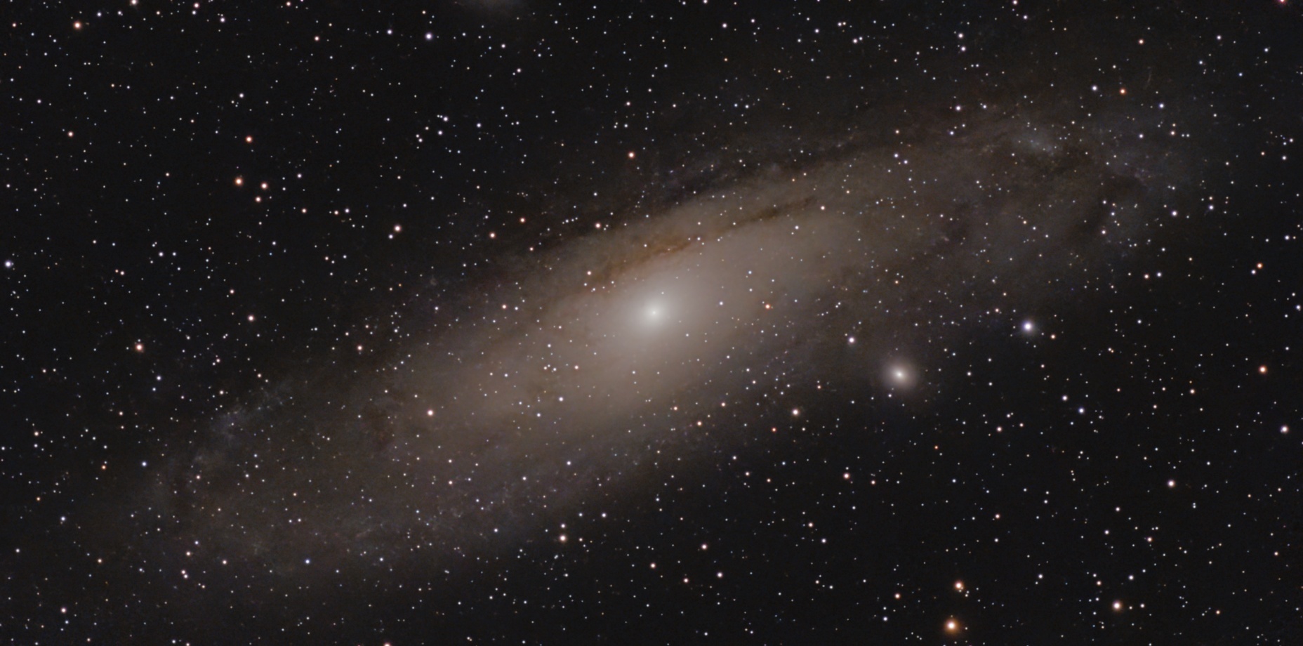 M31