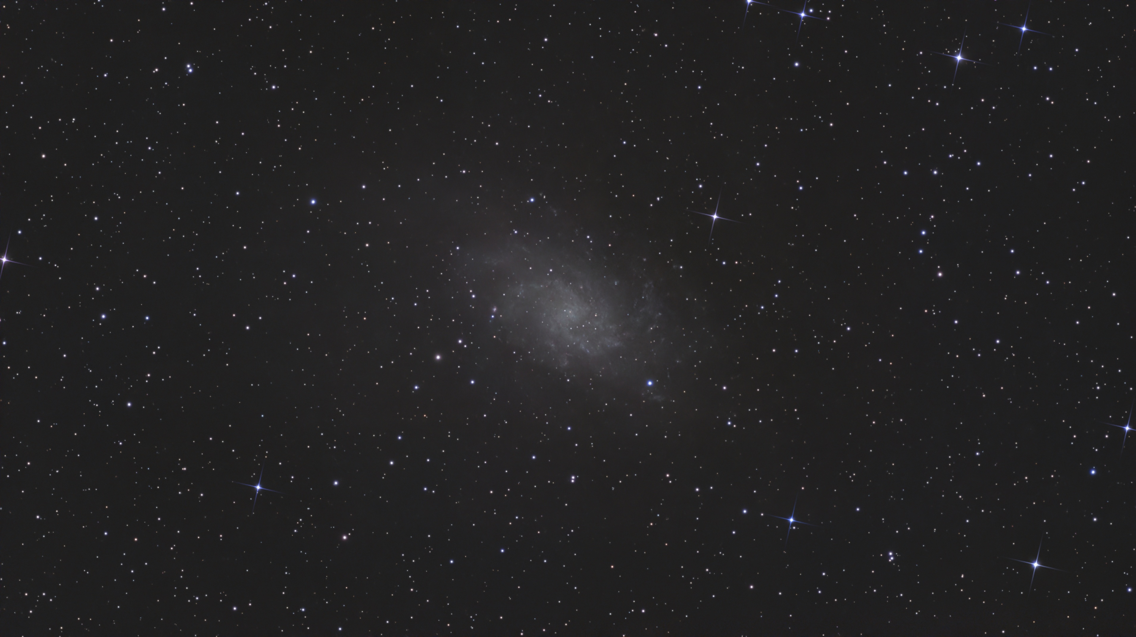 M33