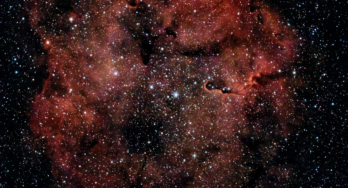 IC 1396, the Elephant Trunk nebula