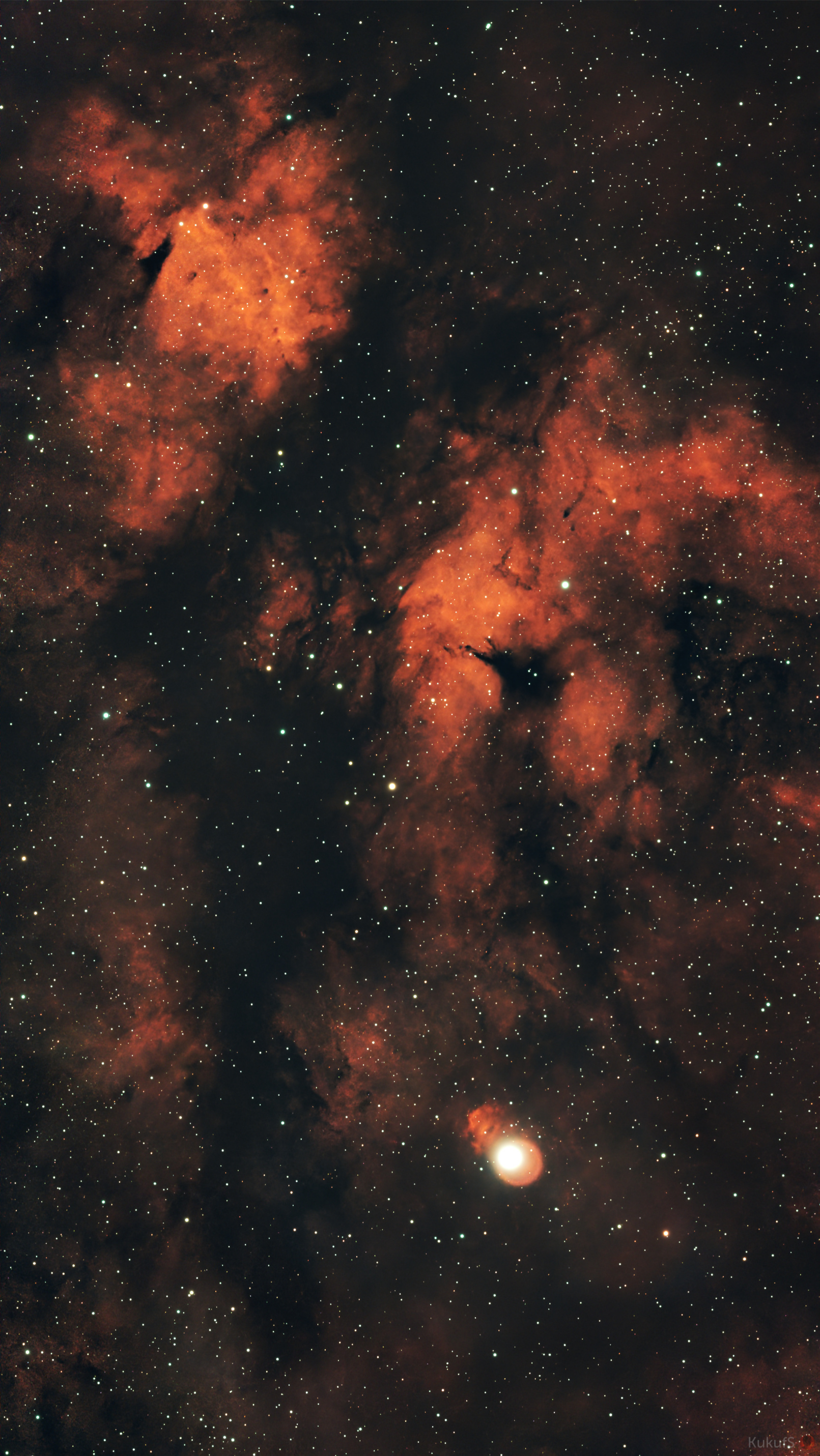 IC 1318: Туманность Гамма Лебедя (Бабочка 🦋)
