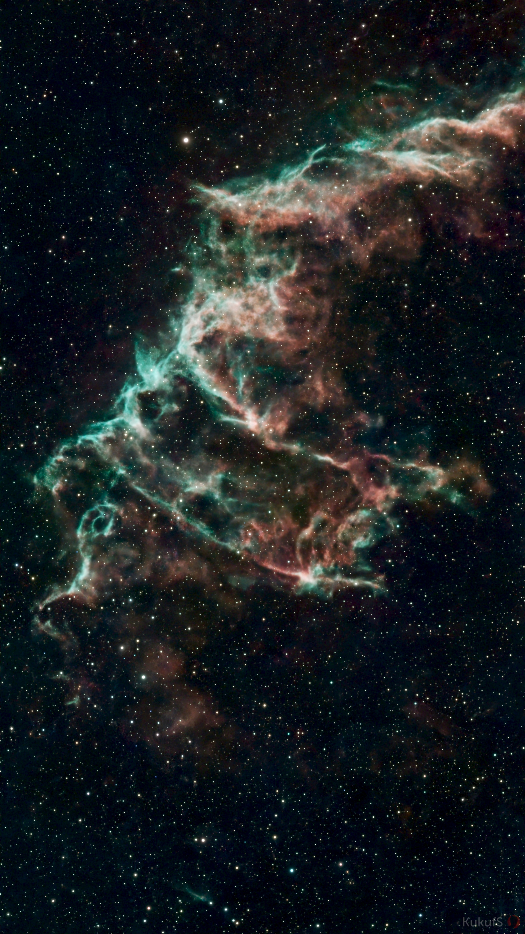 NGC 6995: туманность Летучая Мышь🦇