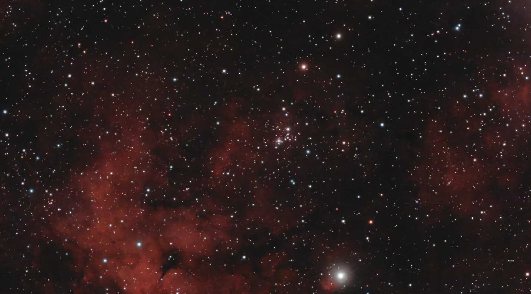 Rocking Horse Cluster