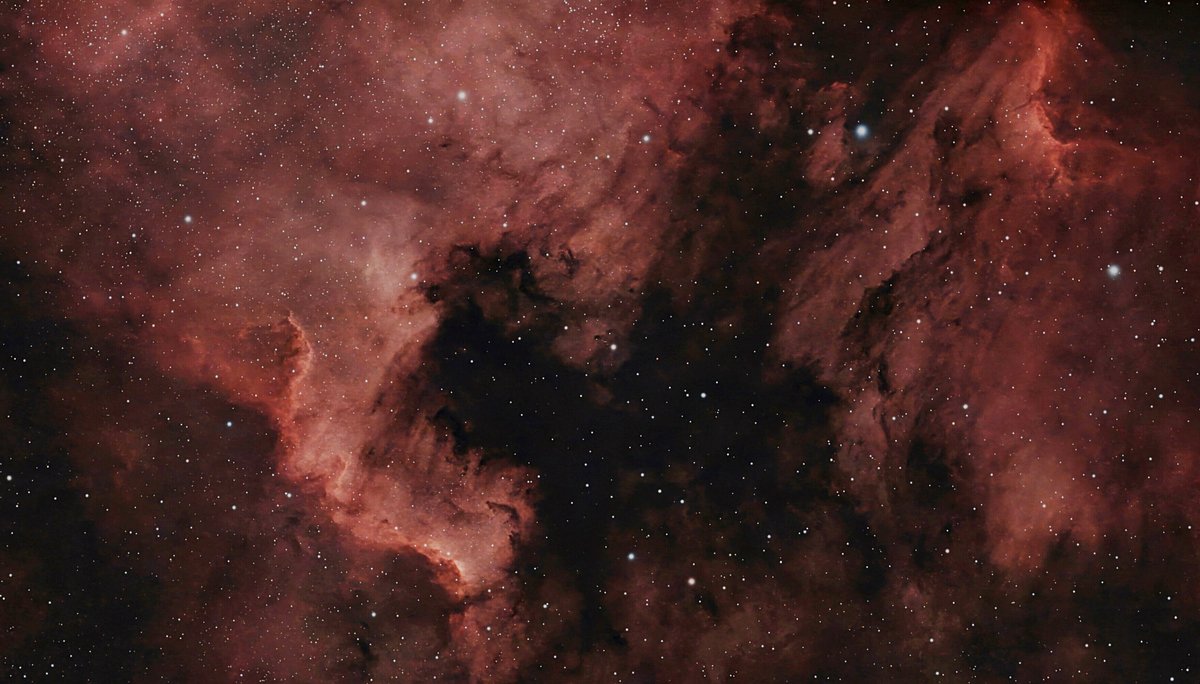 NGC 7000