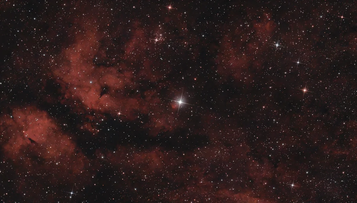 Sabr center of Cygnus
