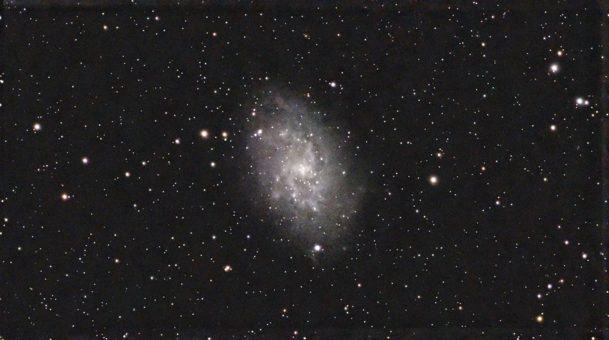 M33