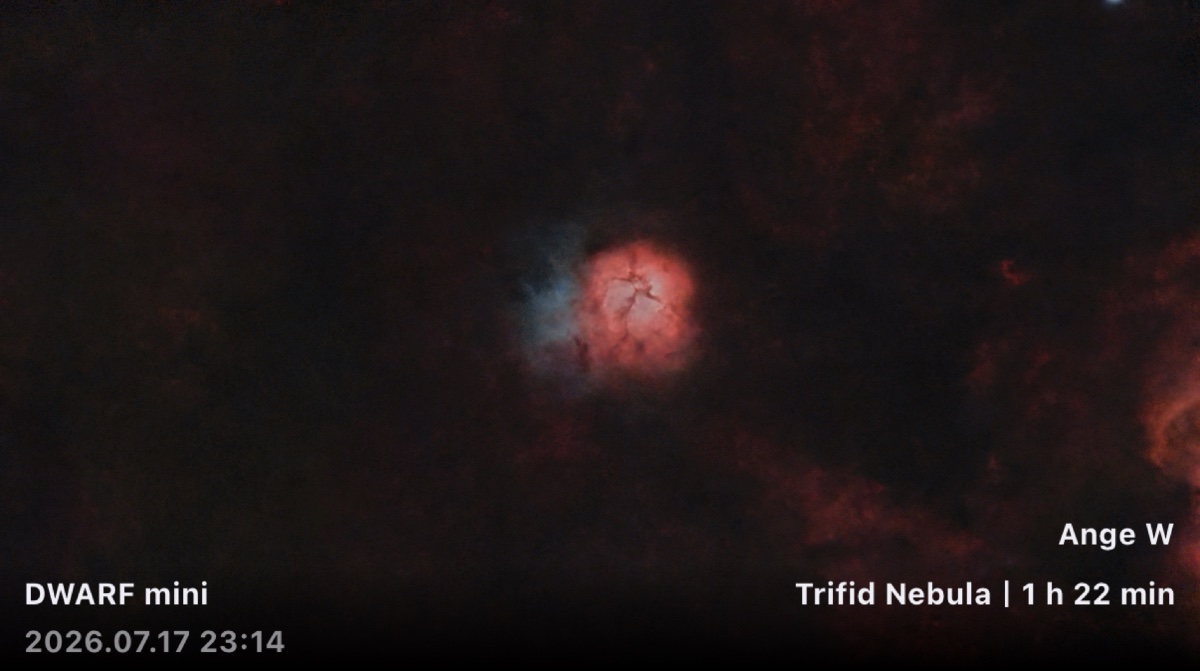 Trifid