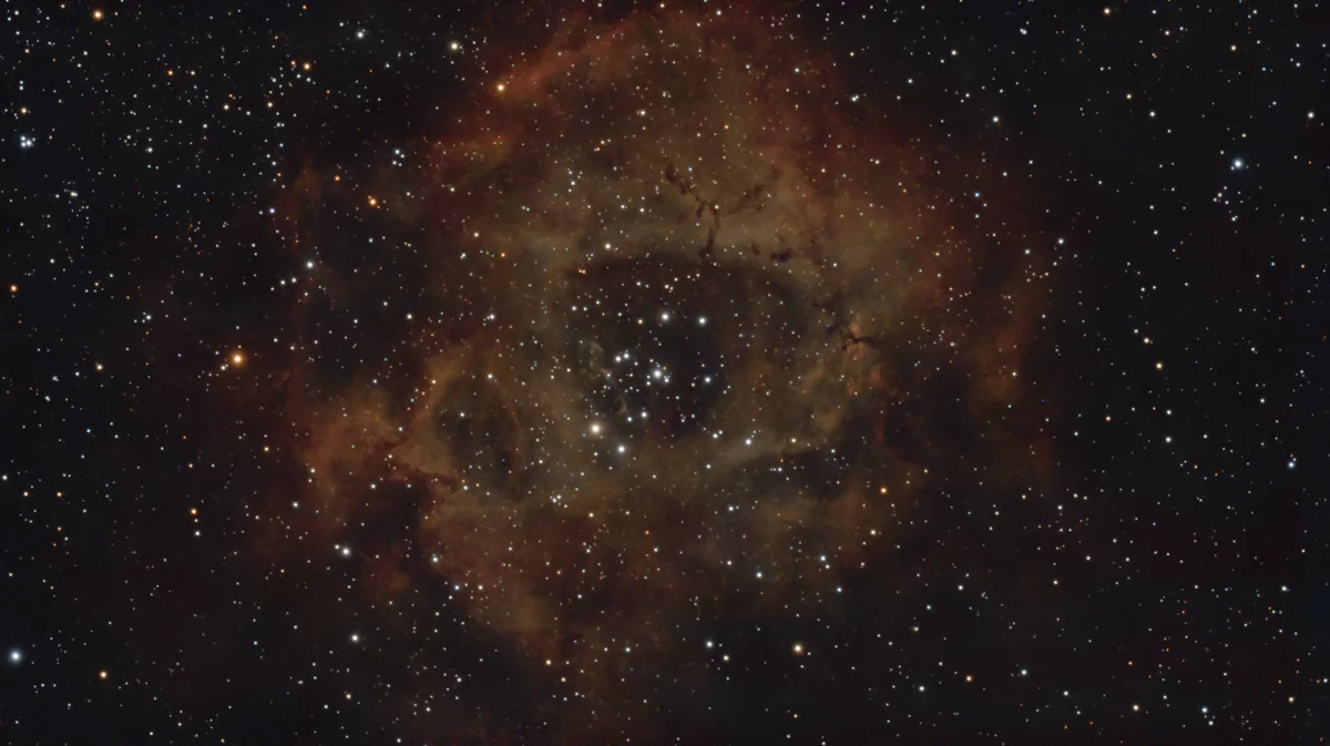 NGC 2244 122 ROSE NEBULA 🌹 #Space