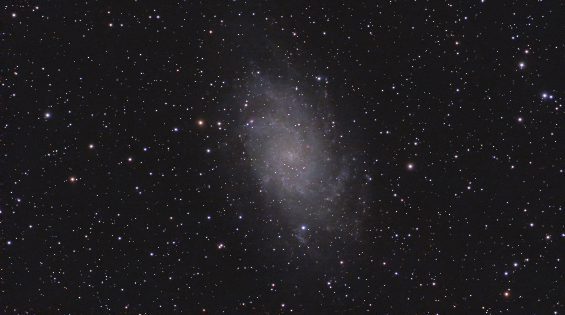 M33