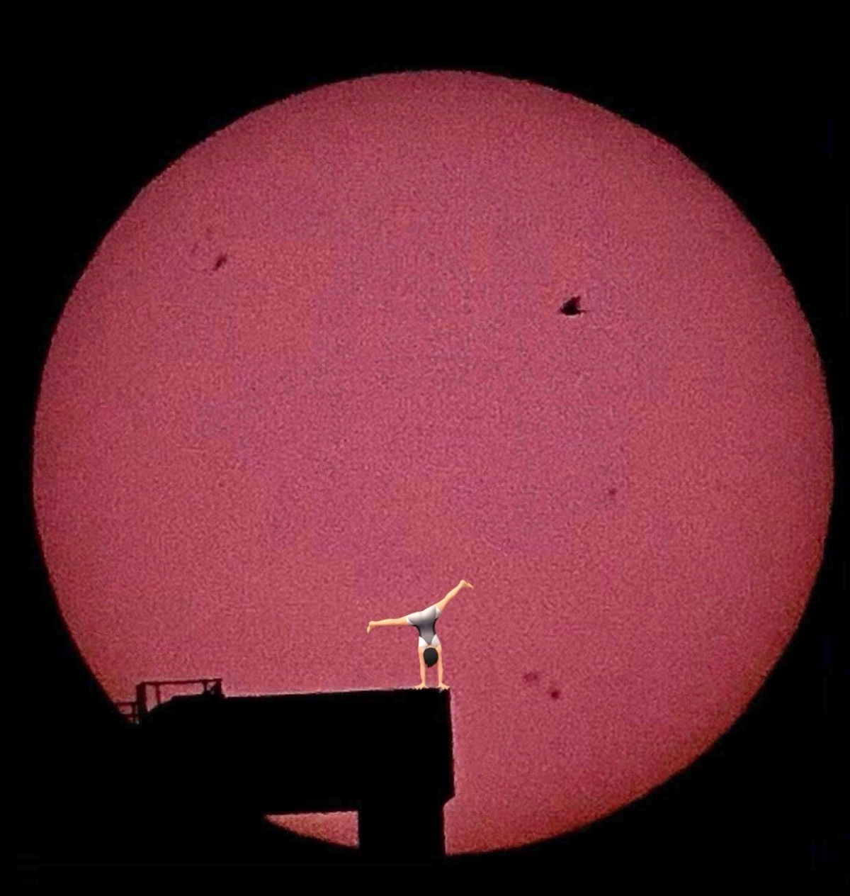 Sun and bird