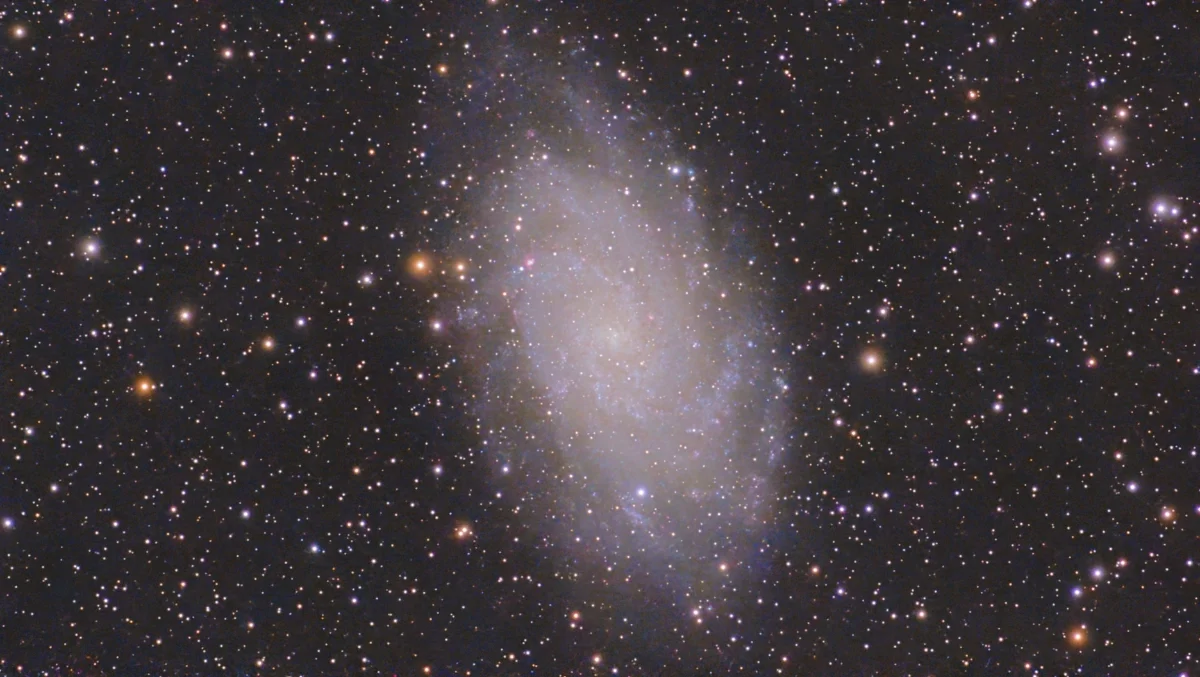 M33