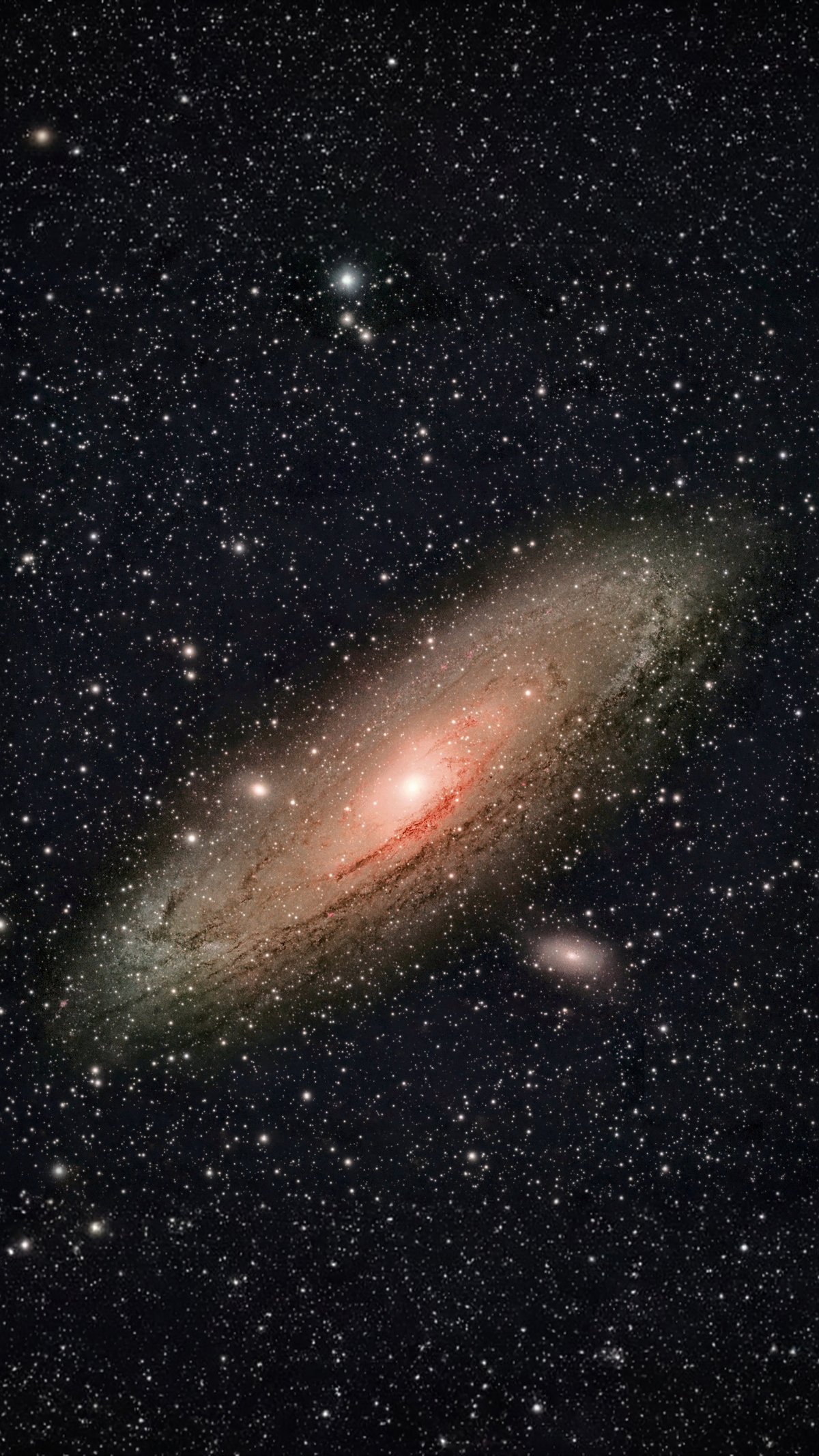 M31