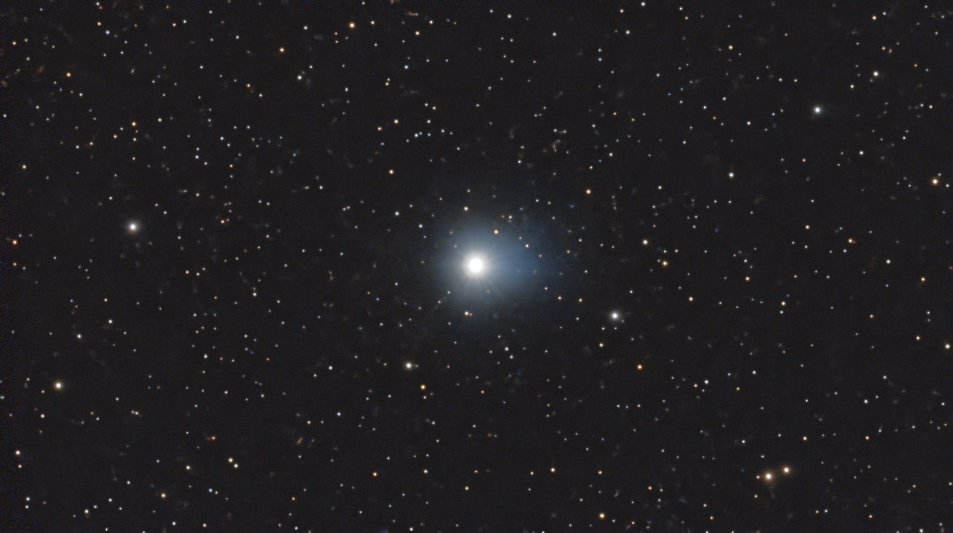 Vega