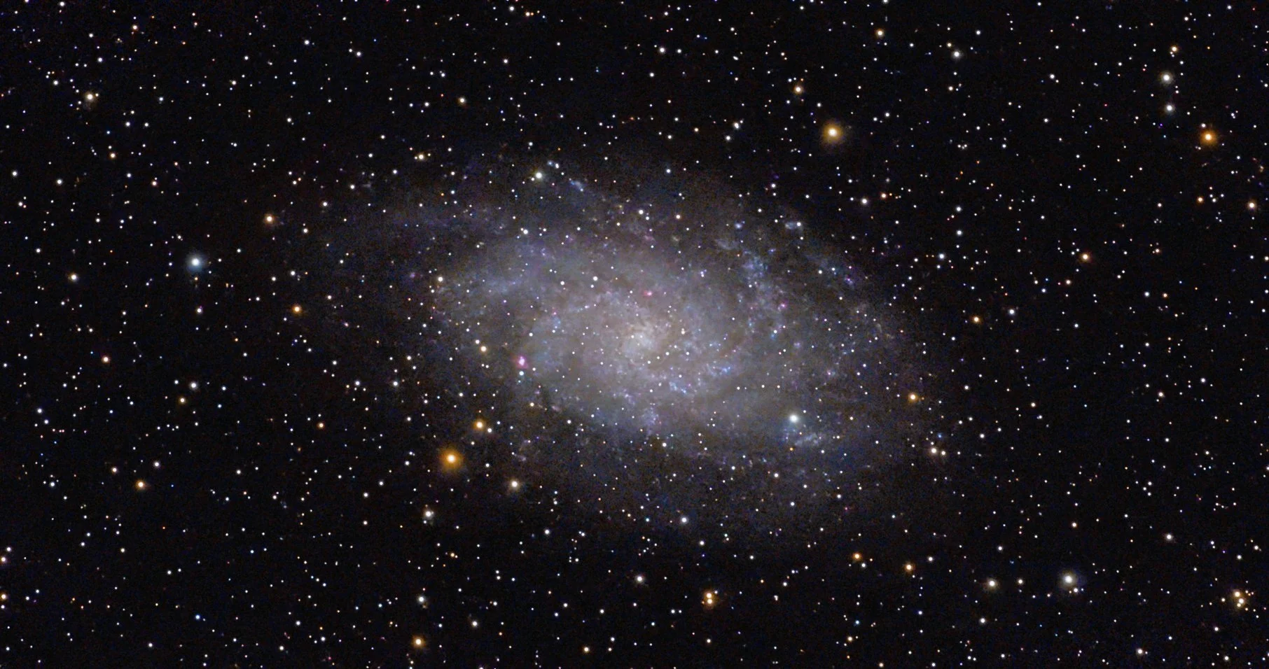 M33