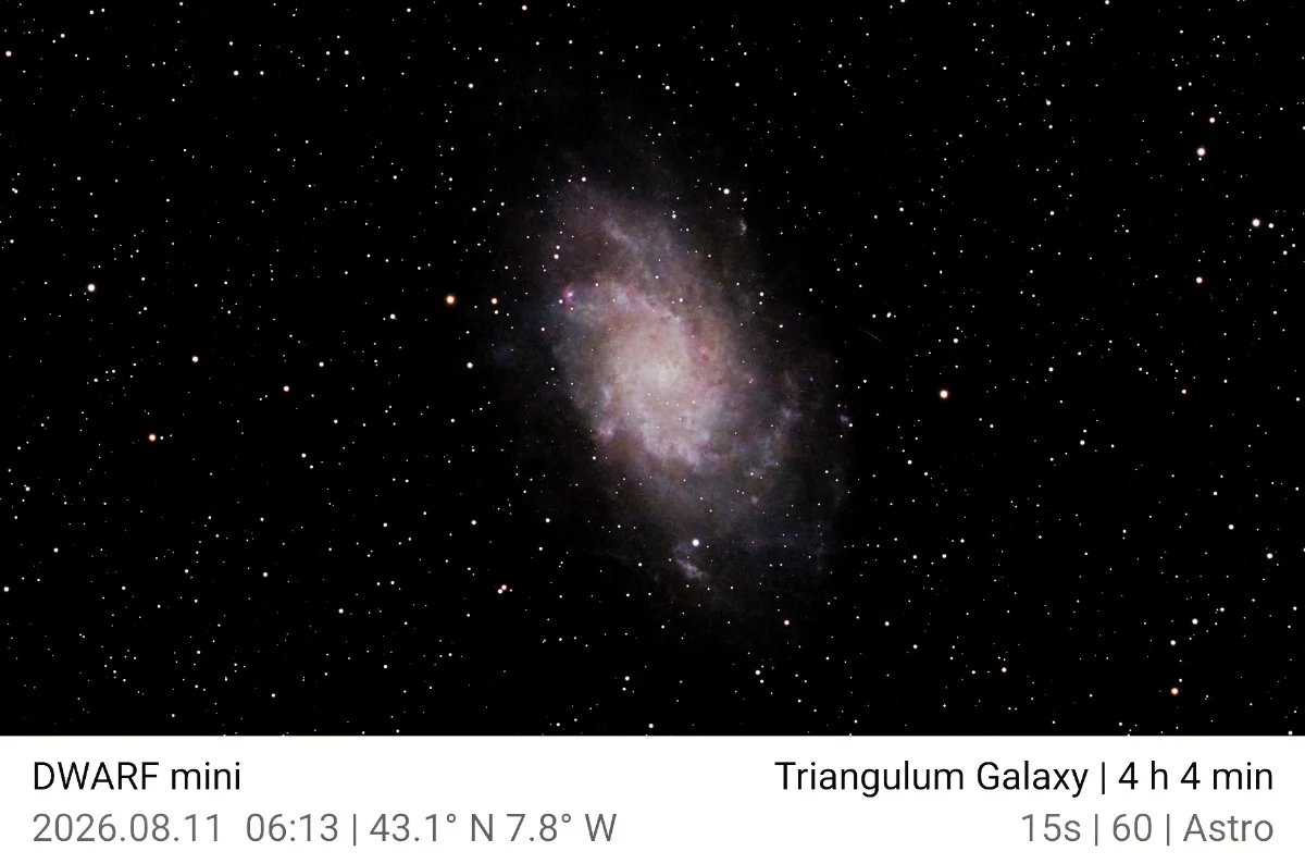 M33