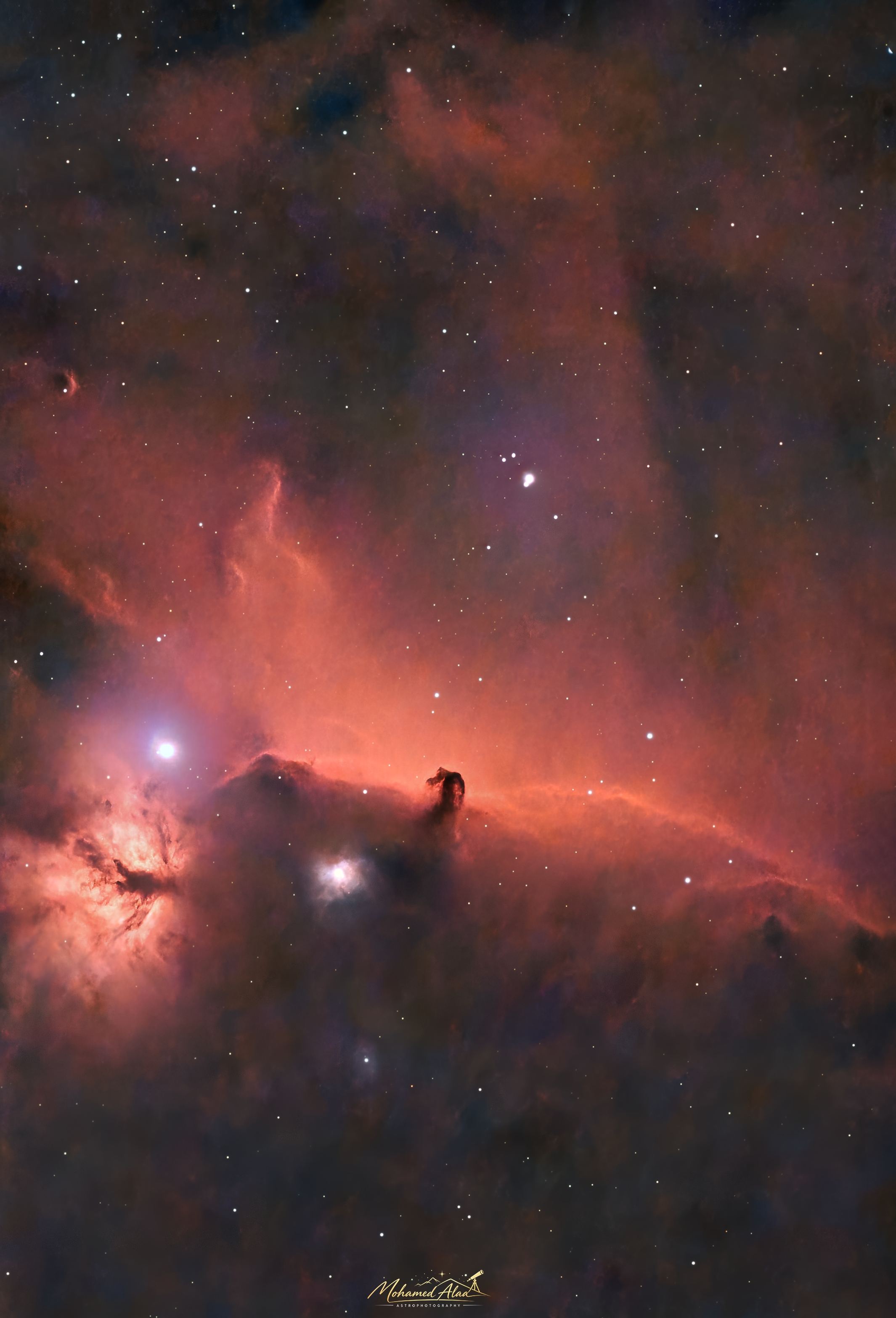 The Horsehead Nebula & Flame Nebula 🌌
