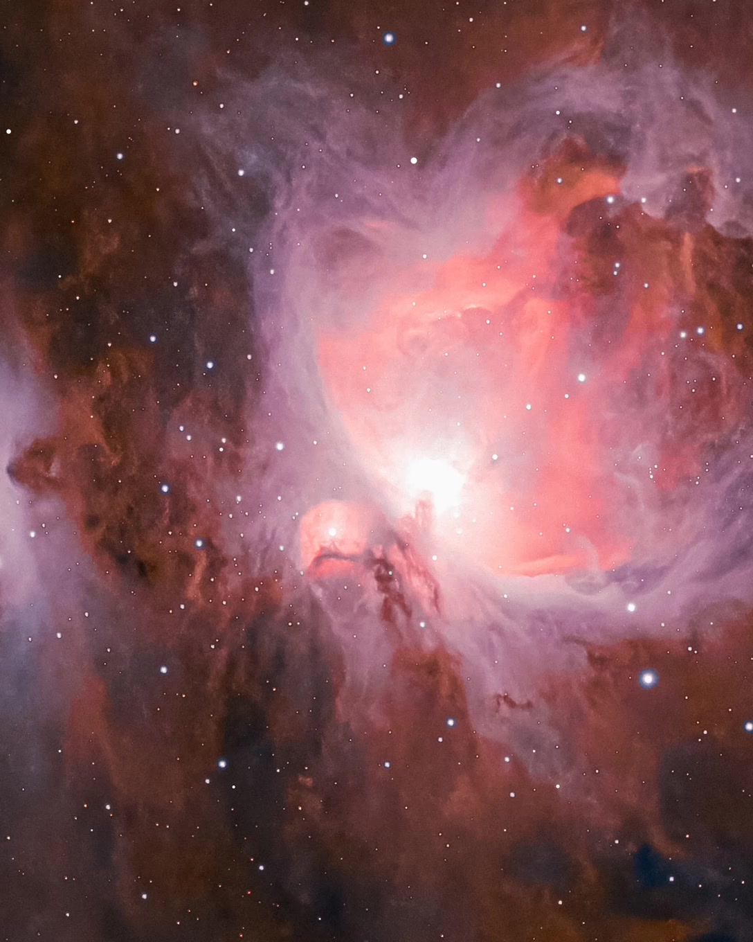 Orion Nebula (M42) — A Closer Look 🌌