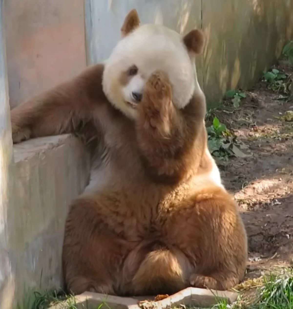 手机多图测试